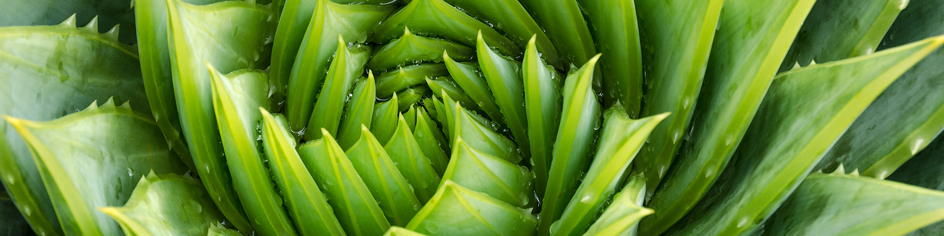 Frontiers in Robotics and AI