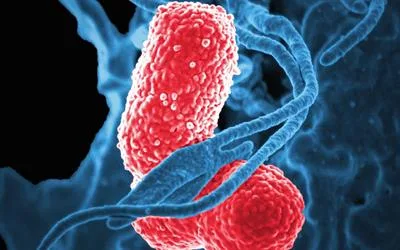 Hypervirulent and multidrug-resistant Klebsiella pneumoniae: pathogenesis, antimicrobial resistance, and therapeutic challenges