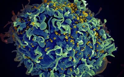 The Future of HIV Care: Innovative Treatment Strategies