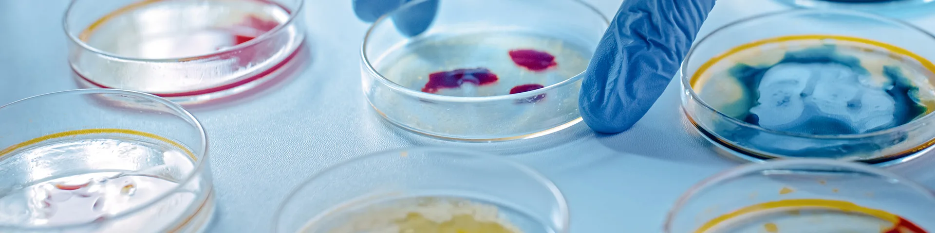 Frontiers in Microbiology