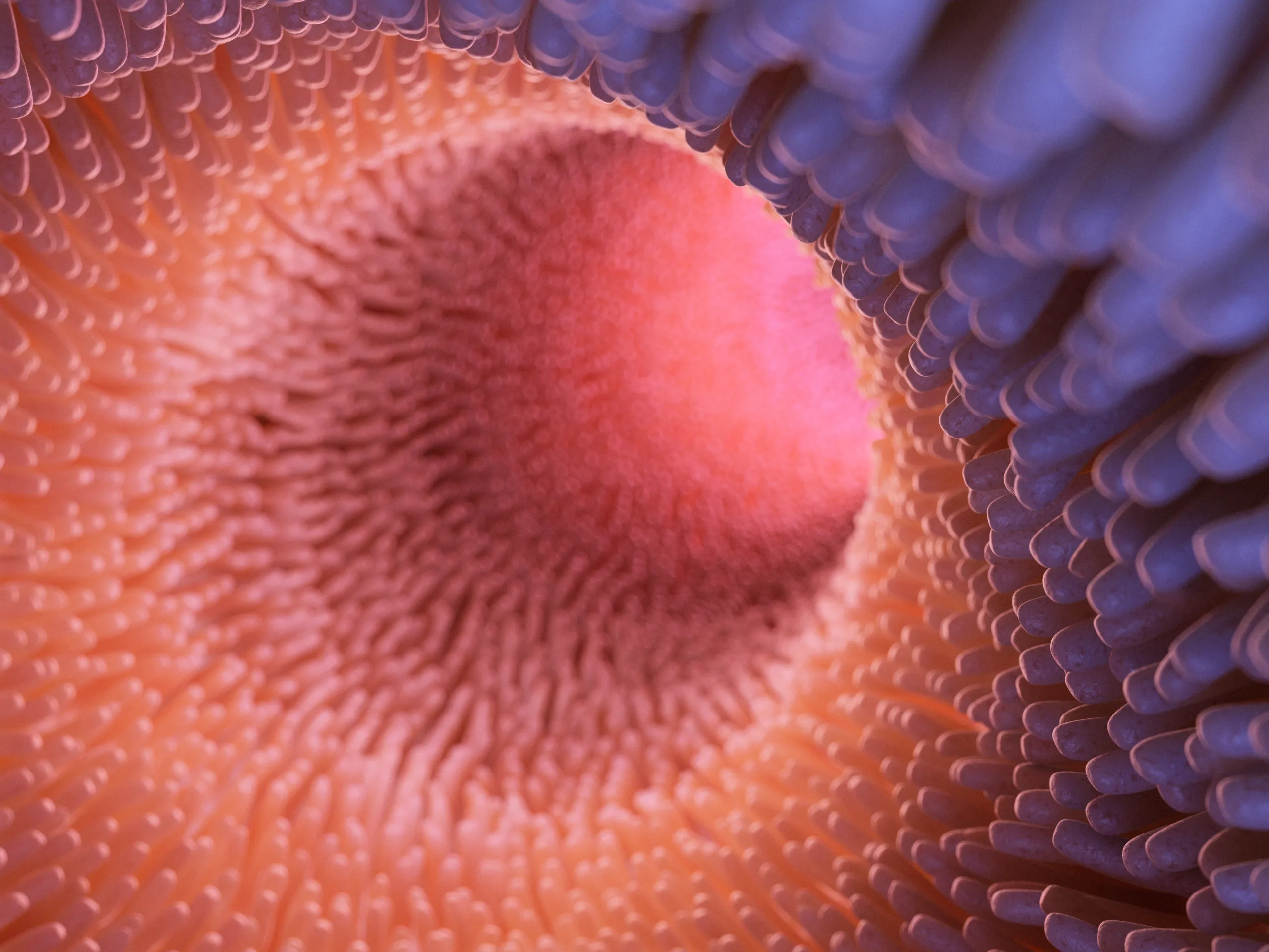 Advancing Stem Cell and Extracellular Vesicle Therapies for Autoimmune and Cancer Treatment