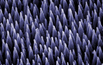 主编荐读 | Frontiers in Materials – Metamaterials 论文精选（中）