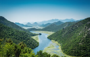 Impact of Climate Change on Carbon Sequestration in Terrestrial Ecosystem