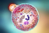 Genes Involved in the Metabolism of Nutrients and Drugs, and Their Roles in Cancer, Immune Disorder and Aging