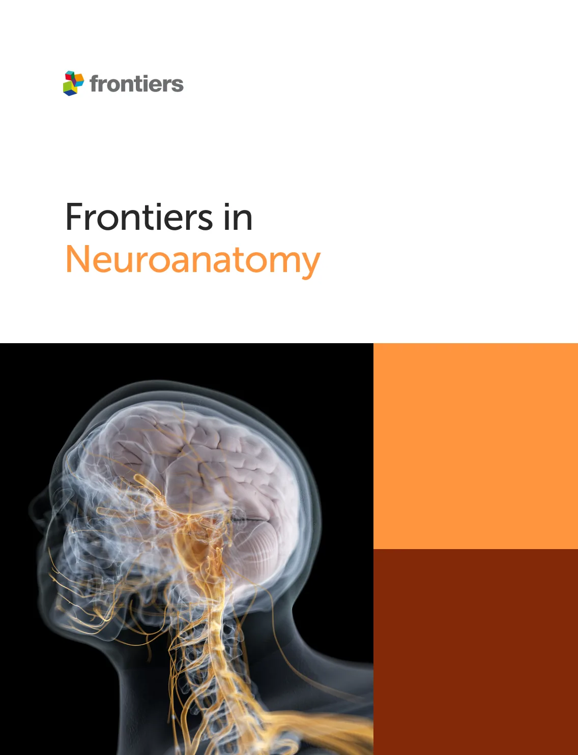 Frontiers in Neuroanatomy