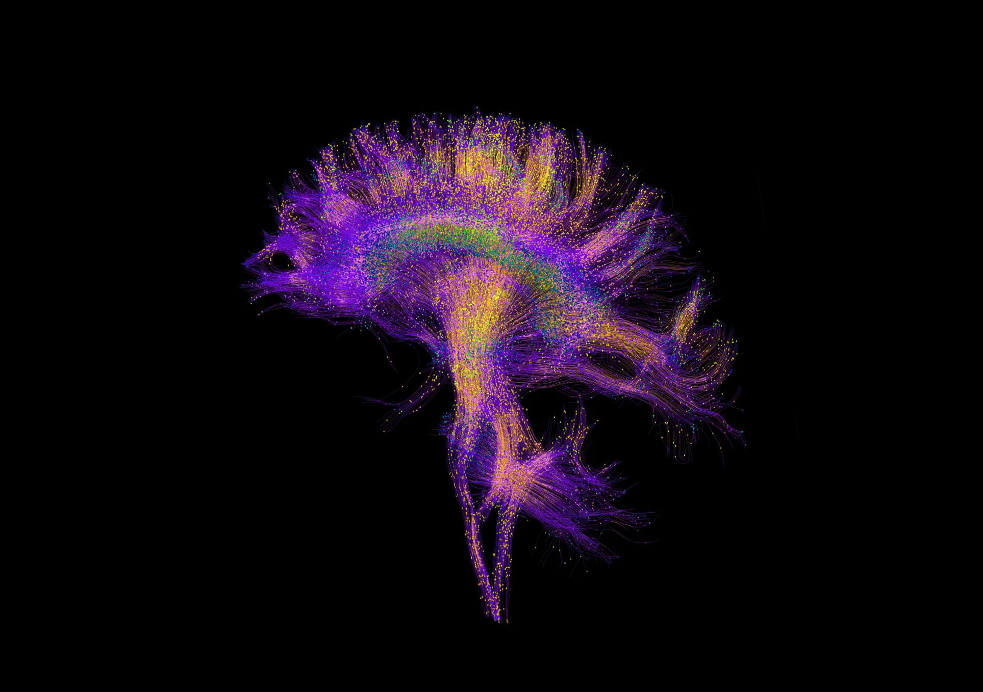 Frontiers in Integrative Neuroscience