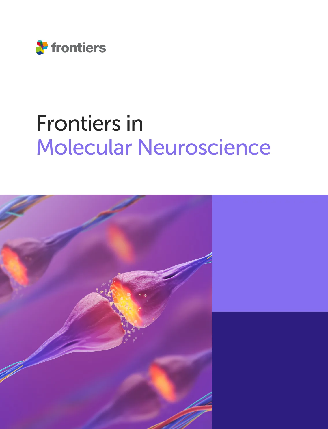 Frontiers in Molecular Neuroscience
