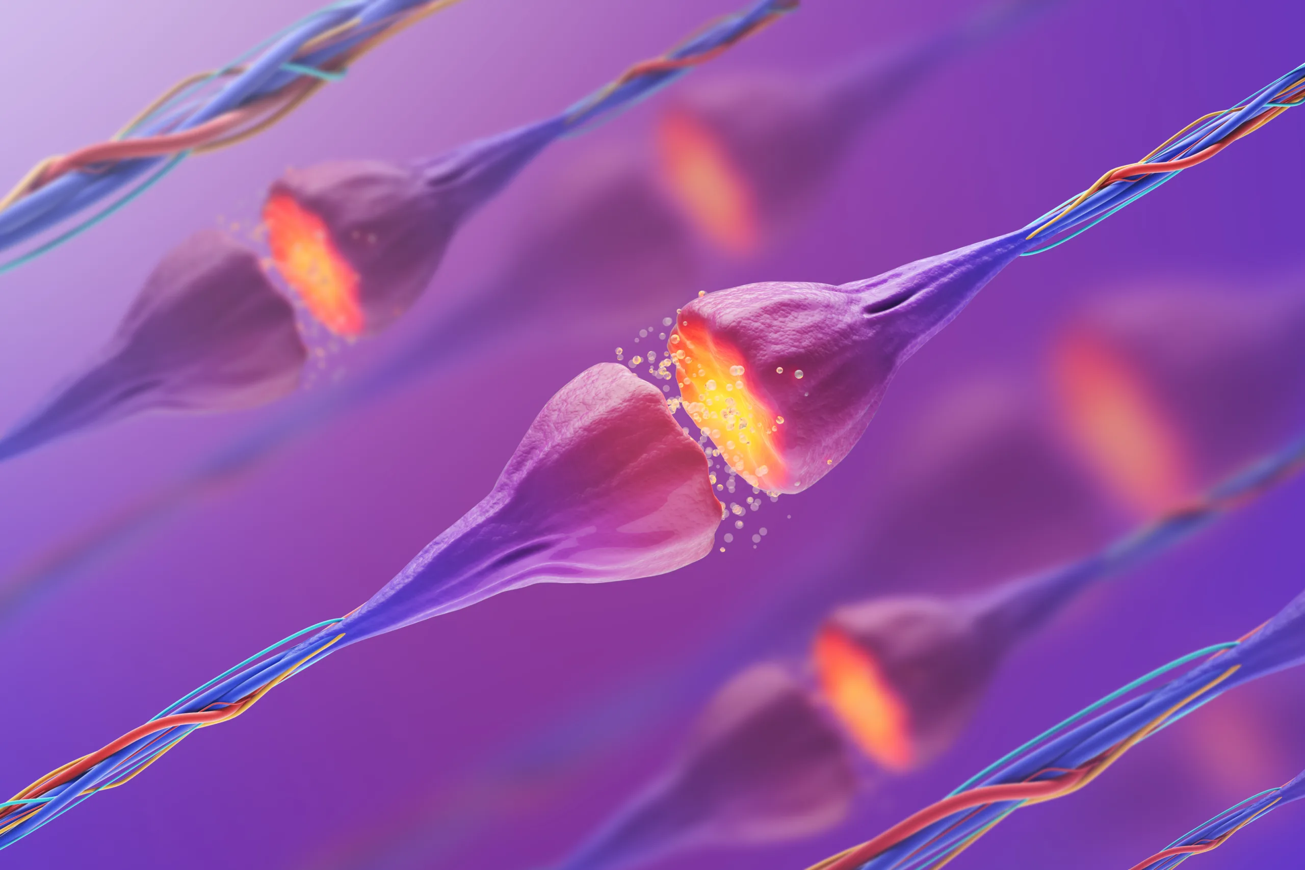 Frontiers in Molecular Neuroscience