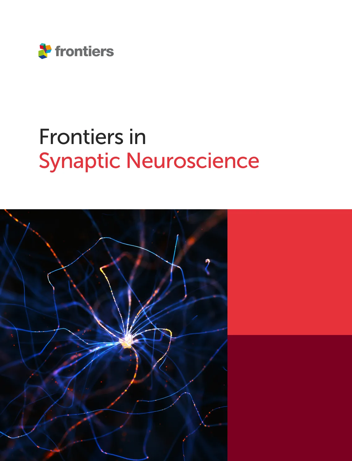 Frontiers in Synaptic Neuroscience