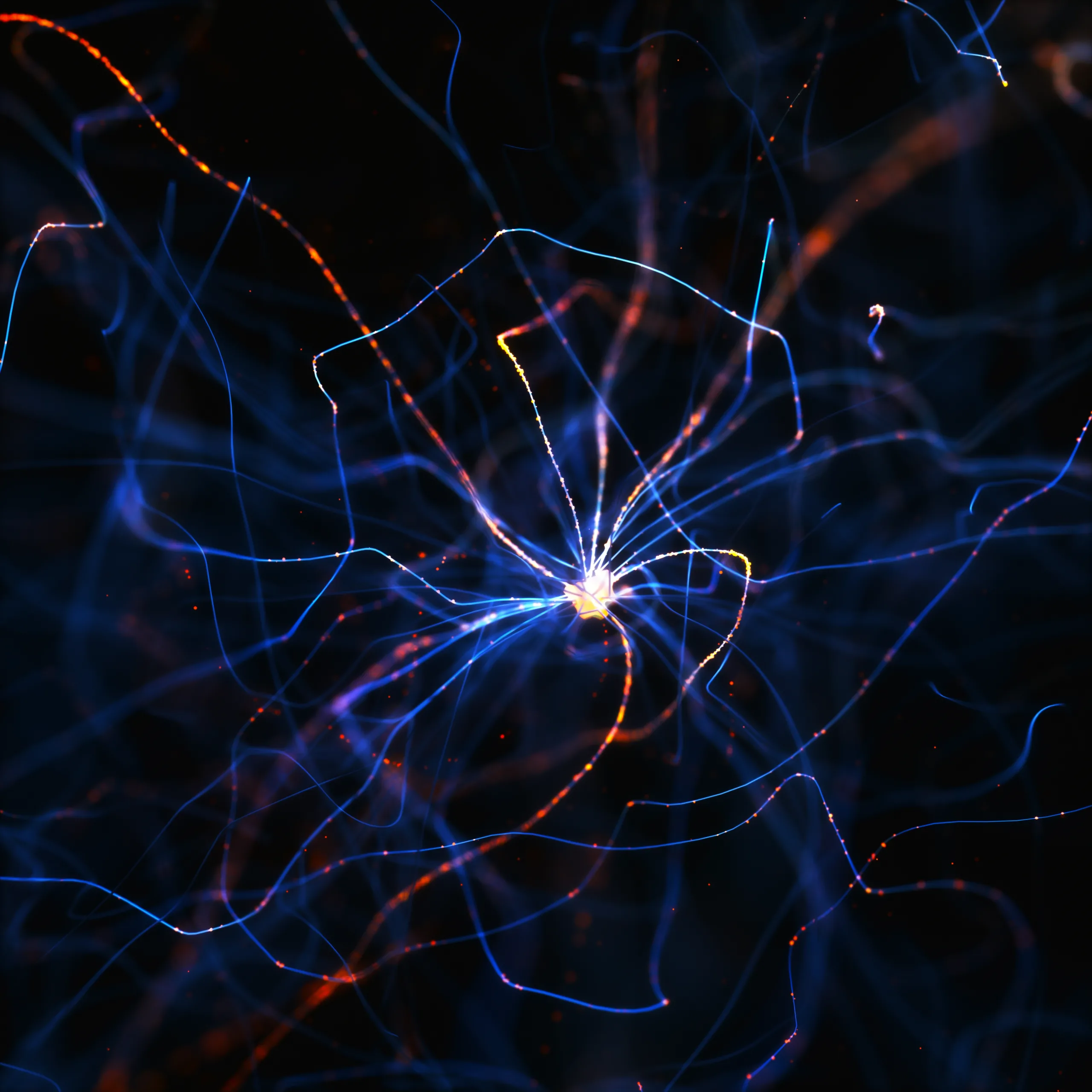 Frontiers in Synaptic Neuroscience