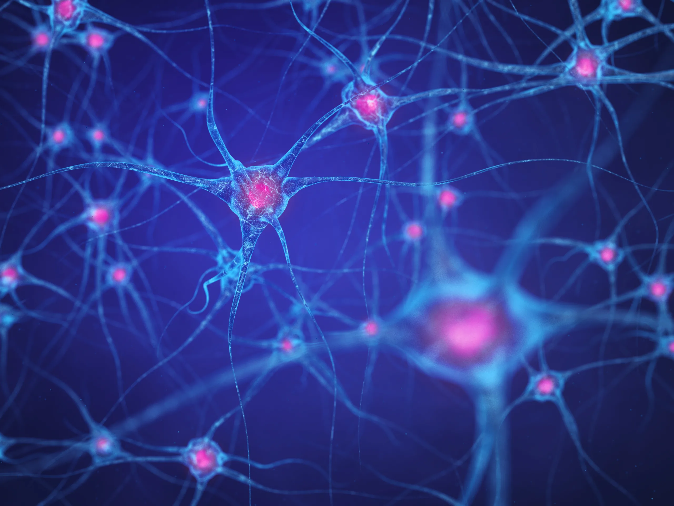 Frontiers in Systems Neuroscience