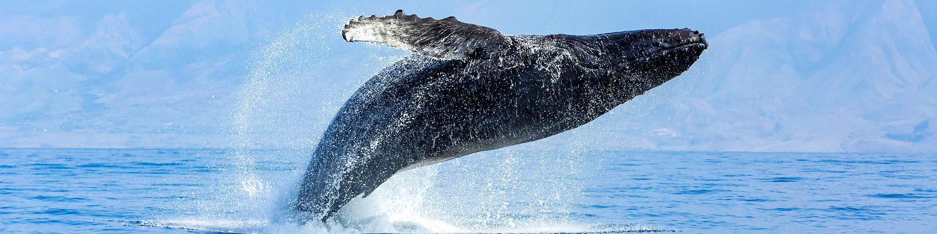 Frontiers in Marine Science