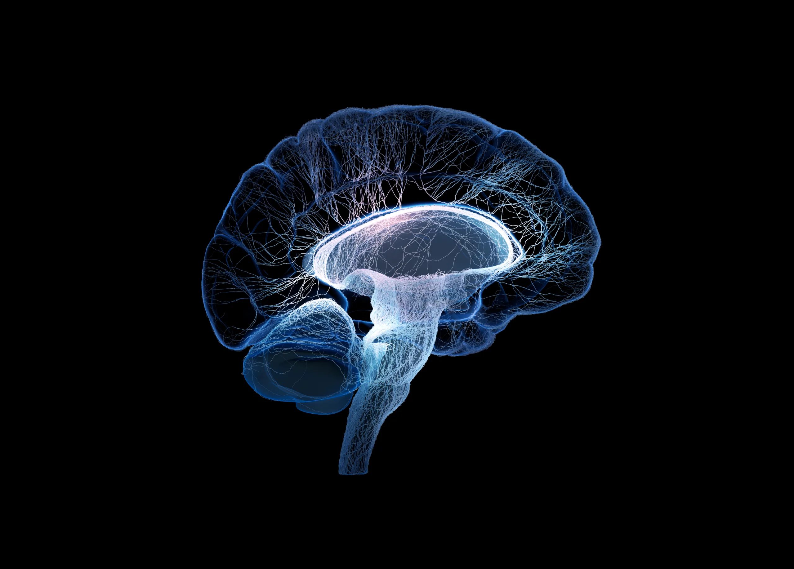 Frontiers in Neuroscience