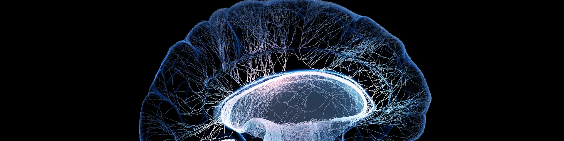 Frontiers in Neuroscience
