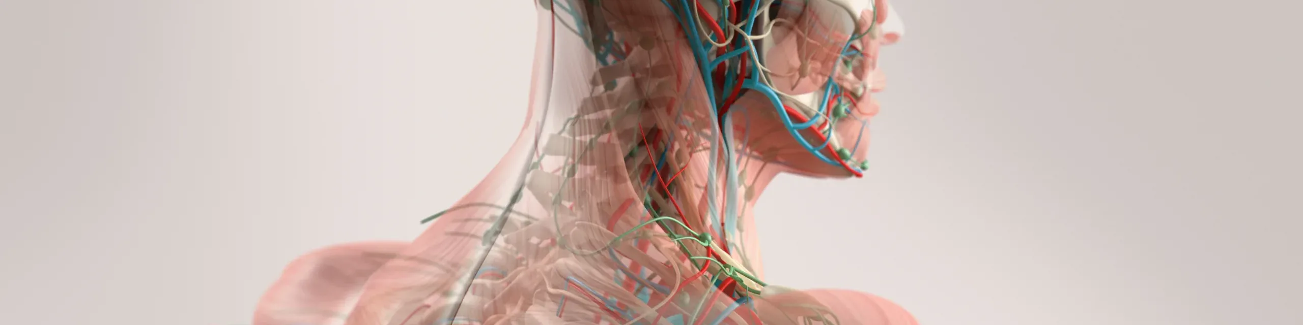 Frontiers in Physiology