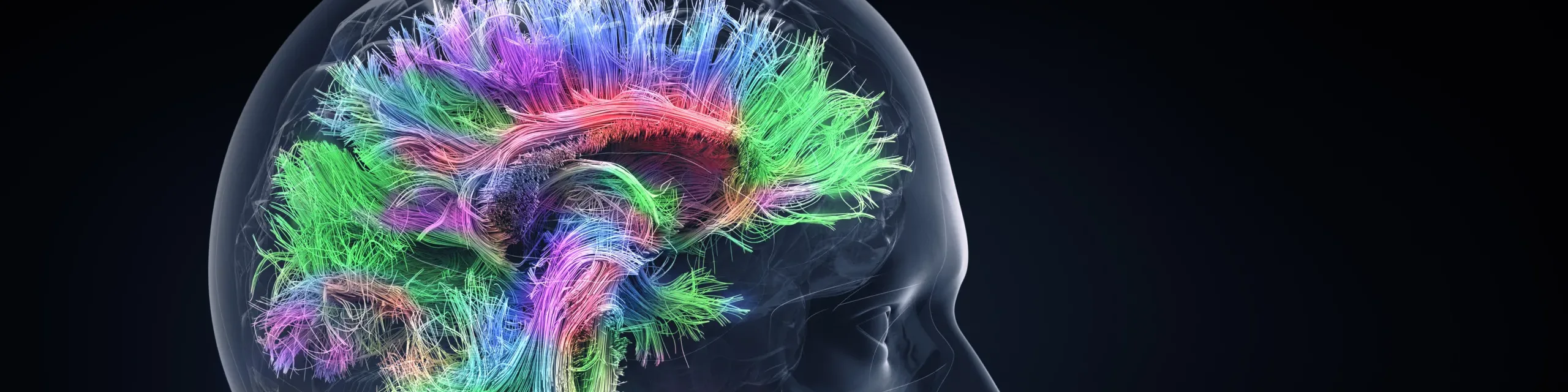 Frontiers in Psychiatry