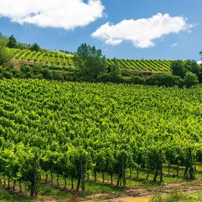 Land Governance, Property Rights, and Resilient Livelihoods for Food Security