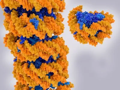 Developmental Epigenomics: Chromatin Mechanisms Shaping Lifelong Health and Disease