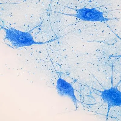 Pediatric neurodevelopment, neural injury, and neuromodulation