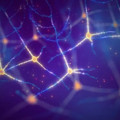 Neural circuits and network dysfunctions in depression and anxiety