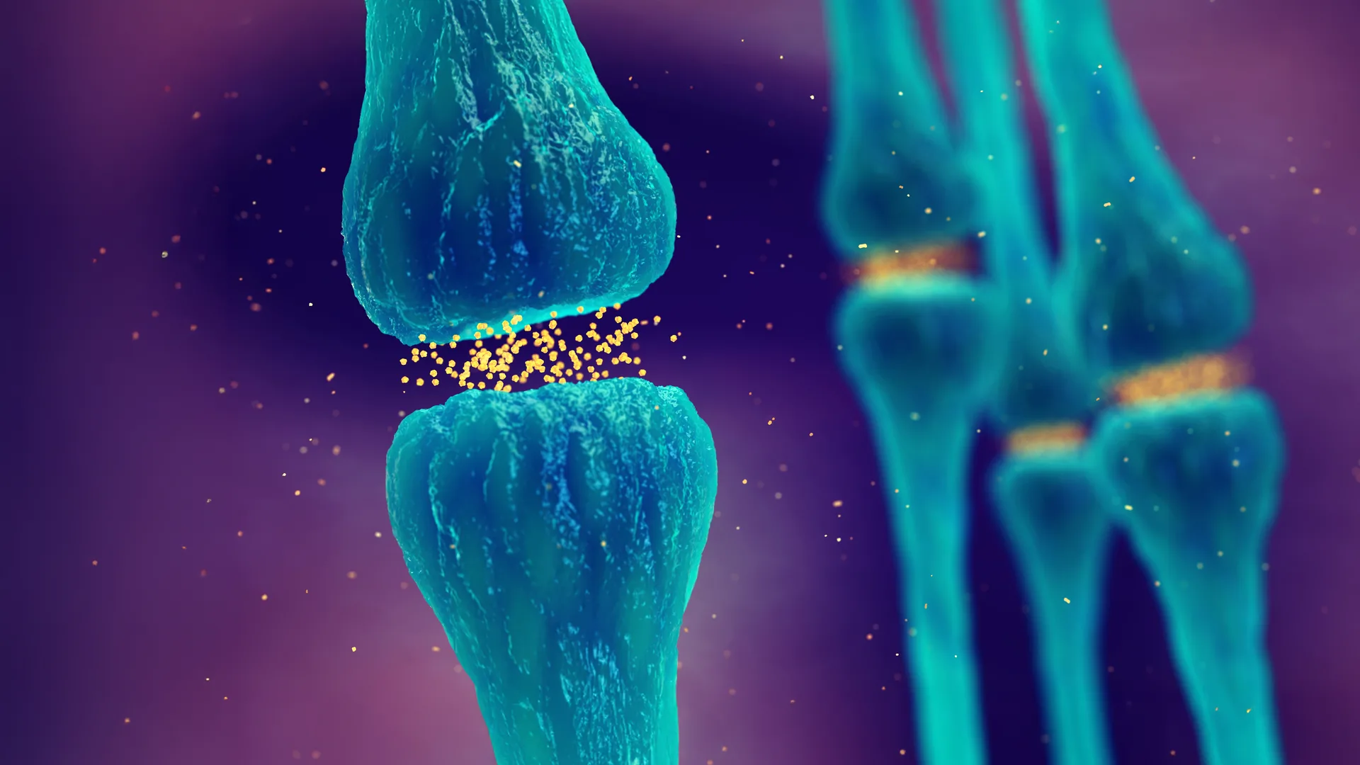 Multidisciplinary Approaches to Dendritic Spine Plasticity: From Molecular Mechanisms to Circuit Dynamics
