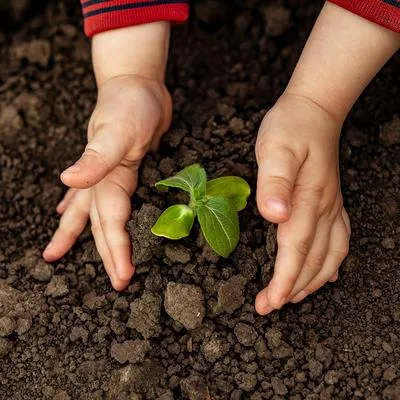 Soil Bioresource Applications and Environmental Sustainability