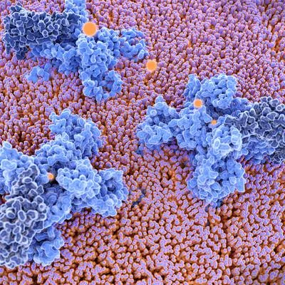 Receptor and Ion Channel-Mediated Mechanosensation in the Nervous System