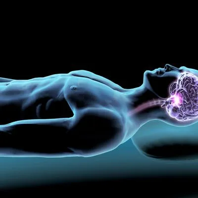 Molecular Mechanisms Linking Circadian Rhythm Disruption to Neurological and Neuropsychiatric Disorders