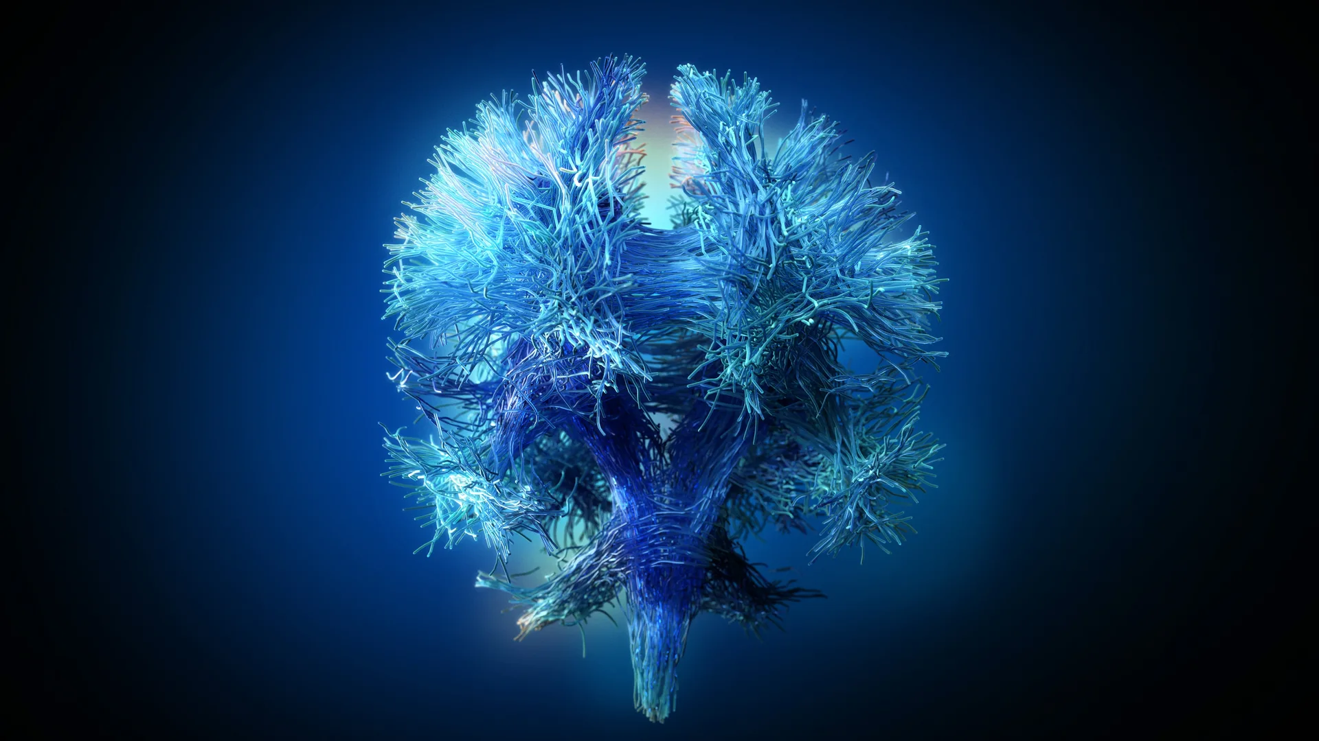 Beyond the Cortex: Integrated Perspectives on the Claustrum and Enigmatic Subcortical Hubs in Health and Disease