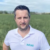 Stéphane Cordeau