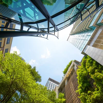 Economics and Ecology: Integrated Policy Pathways Toward Sustainable Futures