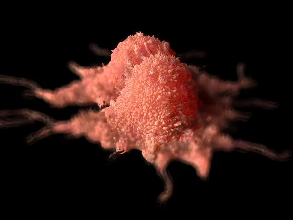 Deciphering Tumor Heterogeneity and Optimizing Precision Therapeutic Strategies in Refractory Cancers