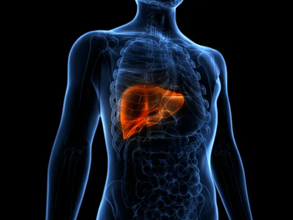 Exploring Immune Dysfunction in Cirrhosis: Mechanistic Insights and Clinical Strategies