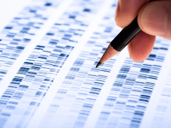 Insights in Computational Genomics: 2025