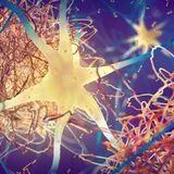 Integrating Neuroinflammation and Metabolomics to Decode Neurodegenerative Diseases: Mechanisms and Targeted Interventions