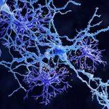 Astrocyte Programs in Neuroprotection and Functional Recovery After CNS Injury