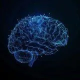 The Developing Brain: Pathway Disruptions Contributing to Autism and Intellectual Disabilities