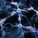 Translational Advances in Alzheimer’s and other Neurodegenerative Dementias (NDDs): (Bio-)Molecular Mechanisms, Biomarkers and Therapies