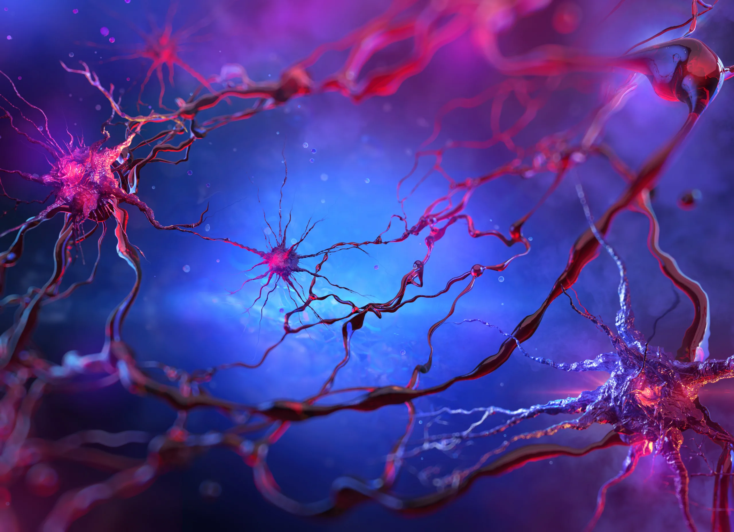 Digital Twins of the Brain: High-Fidelity Computational Models for Simulating Neural Disorders and Therapeutic Outcomes