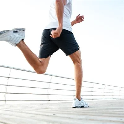 Imaging pathways in lower-limb muscle lesions and their role in return-to-training and return-to-play decision-making