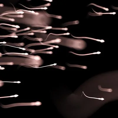 Next-Generation Biomarkers for Precision Andrology: Advances in Male Reproductive Health