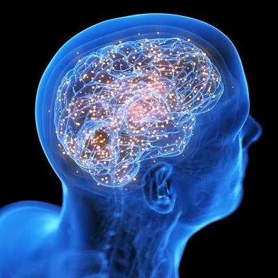 Effects of Environmental Perturbations on Brain Functions, Diseases, and Disorders
