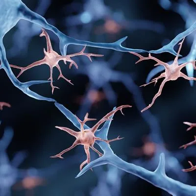 Neuroinflammation in Neuropsychiatric and Neurodegenerative Conditions: Insights and Advancements