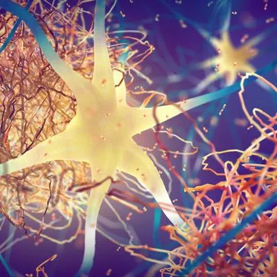 Genome Instability and Cellular Stress Responses in Alzheimer’s Disease: From Molecular Mechanisms to Translational Insight