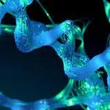 Victor J. Hruby Symposium 2026: Half a Century of Peptide Chemistry, Biology, and Drug Design