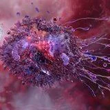 Macrophage-Driven Immuno-Fibrosis in Heart Failure: Targeting Macrophage-Fibroblast Crosstalk for Drug Discovery