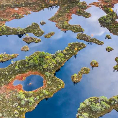 Synergistic Adaptation of Wetland Communities under Multiple Stressors