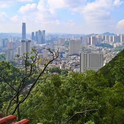 Urban Forest Biodiversity – From Aboveground to Belowground, from Genes to Landscapes