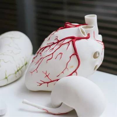 AI-Driven Computational Physiology in Cardiometabolic Syndrome: From Real-World Data to Mechanistic Understanding