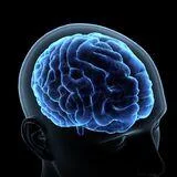 Neuroimaging and Rehabilitation Mechanisms in Mood, Anxiety and Stress-related disorders